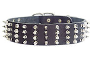 2 inch Leather Dog Collar with STUDS and SPIKES for Mastiff 2 inch Leather Dog Collar with STUDS and SPIKES for Mastiff