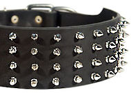 3 inch custom spiked collar for Mastiff 3 inch custom spiked collar for Mastiff