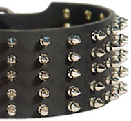 3 inch Spiked Leather Dog Collar for Mastiff