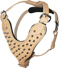 Mastiff Spiked Dog Harness - PADDED LEATHER DOG HARNESS
