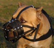 American Bandogge Mastiff Light Weight Ventilation muzzle
