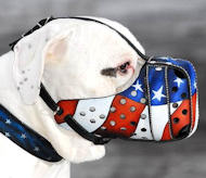 LEATHER DOG MUZZLE FOR AMERICAN MASTIFF Handpainted Muzzle