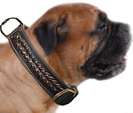 Bullmastiff Handcrafted Leather Dog Collar
