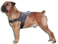 Boerboel Mastiff Nylon tracking/pulling dog harness