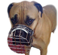 Bullmastiff Wire Dog Muzzle-Basket cage Muzzle for BULLMASTIFF