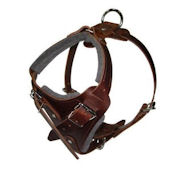 Comfort Padded Dog Harness for Mastiff