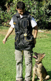 Nylon Dog Trainer Vest for Training your dog