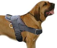 Brazilian Mastiff Nylon harness - tracking/ pulling dog harness