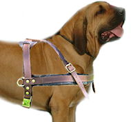 Brazilian Mastiff Tracking/Pulling Leather Dog Harness