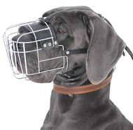 German Mastiff Wire Basket dog muzzle - German Mastiff