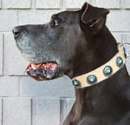 German Mastiff Leather Dog Collar & Silver Circles Blue Stones