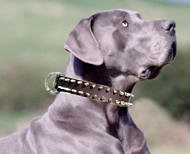 German Mastiff Leather Spiked Dog Collar