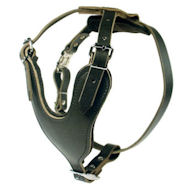 Heavy Duty Dog Harness for Mastiff