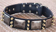 Custom Design Leather Dog Collar - massive plates+ brass3 spike