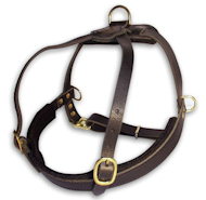 Get Leather Roading Dog Harness for Mastiff