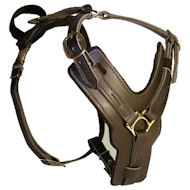 MASTIFF Padded Dog Harness H10