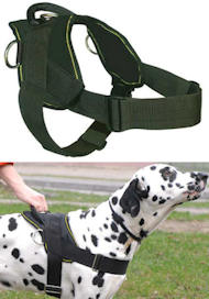 Best Dog Training Harness for MASTIFF
