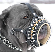 MASTINO NAPOLETANO Muzzle - Mastiff Leather Padded Dog Muzzle