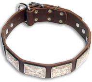 Custom Mastiff Brown dog collar 18 inch/18'' collar - C83