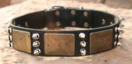 Mastiff Gorgeous Custom Leather Dog Collar - brass plates,spikes