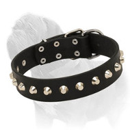 'Mighty King' Mastiff Dog Collar 'Mighty King' Mastiff Dog Collar