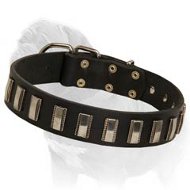 Ornament Dog Collar made of leather for Mastiff Ornament Dog Collar made of leather for Mastiff