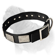 Training Nylon Mastiff Collar For All Weather Conditions Training Nylon Mastiff Collar For All Weather Conditions