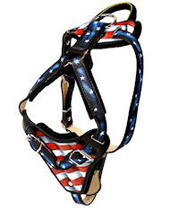 Hand painted by our artists handmade best Leather Dog Harness Hand painted by our artists handmade best Leather Dog Harness