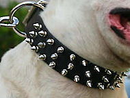 Custom Leather Spiked Dog Collar -3 Rows of spikes