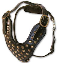 Studded Walking dog harness- Mastiff