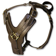 Mastiff Dog Harness -Exclusive Luxury Handcrafted Padded Leather