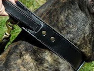 2 ply leather dog collar with handle - Mastiff training collar