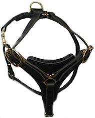 Tracking / Walking dog harness made of leather Tracking / Walking dog harness made of leather