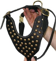 Studded Walking dog harness- Mastiff Studded Walking dog harness- Mastiff