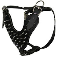 Spiked leather dog harnesses for Mastiff-big dog harness Spiked leather dog harnesses for Mastiff-big dog harness