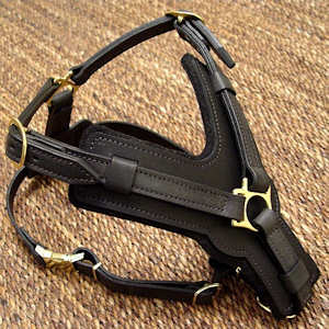 handmade leather dog harness Great Dane