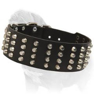Extra WIde Leather Collar with 4 Rows of Nickel Pyramids for Mastiff Walking Extra WIde Leather Collar with 4 Rows of Nickel Pyramids for Mastiff Walking