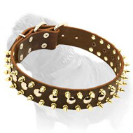 Fashion Leather Dog Collar with Goldish Spikes and Nickel Studs for Mastiff Walking Fashion Leather Dog Collar with Goldish Spikes and Nickel Studs for Mastiff Walking