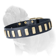 Leather Dog Collar with Brass Plates for Fashionable Mastiff Walking Leather Dog Collar with Brass Plates for Fashionable Mastiff Walking