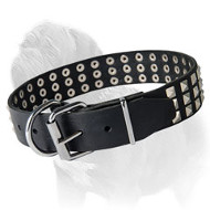 Silver Pyramids Studded Leather Dog Collar for Mastiff Walking Silver Pyramids Studded Leather Dog Collar for Mastiff Walking