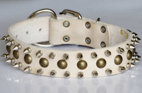 Luxurious Spiked Collar for Medium Dogs, Flesh Colour 