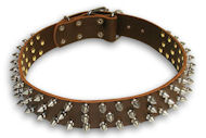 Walking Mastiff Brown dog collar 18 inch/18'' collar - S44