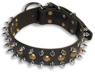 Mastiff STUDDED Black dog collar 19 inch/19'' collar - S55 Mastiff STUDDED Black dog collar 19 inch/19'' collar - S55