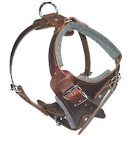 Medium dog Harness for Mastiff -Leather Harness