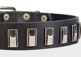 Ornament Dog Collar made of leather for Mastiff