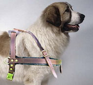 Pyrenean Mastiff Tracking/Pulling Leather Dog Harness