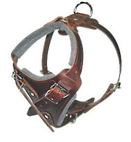 Big Designer custom Leather Dog Harness for Mastiff