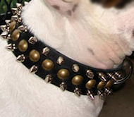 Mastiff Leather Spiked and Studded Collar 3 Rows