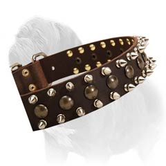 Decorated leather collar