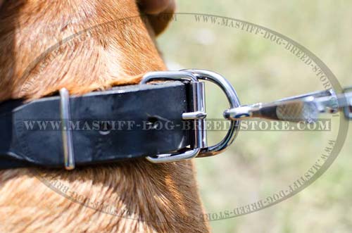 High Quality leather Collar with Strong Ring